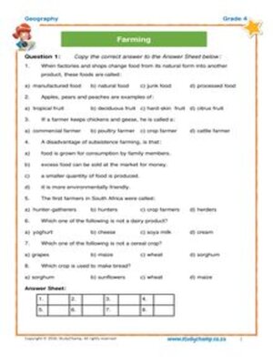 cover image of Grade 4 Geography: Test